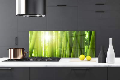 Kitchen Splashback Bamboo floral green