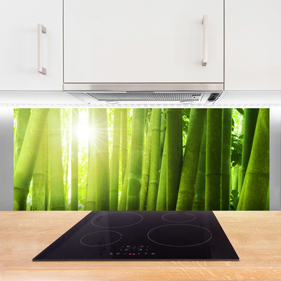 Kitchen Splashback Bamboo floral green