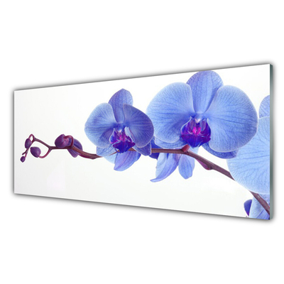 Kitchen Splashback Flowers floral blue purple