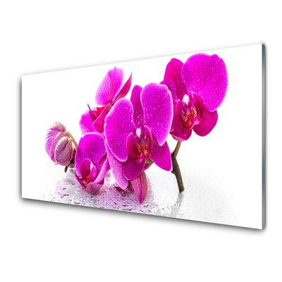 Kitchen Splashback Flowers floral pink