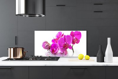 Kitchen Splashback Flowers floral pink