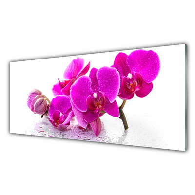 Kitchen Splashback Flowers floral pink