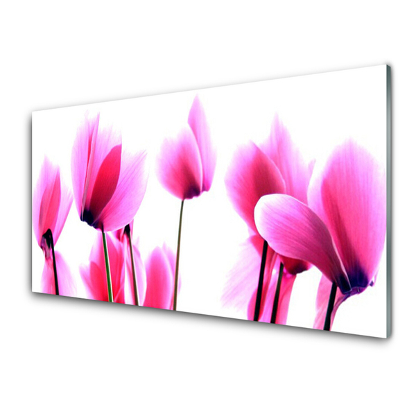 Kitchen Splashback Flowers floral pink