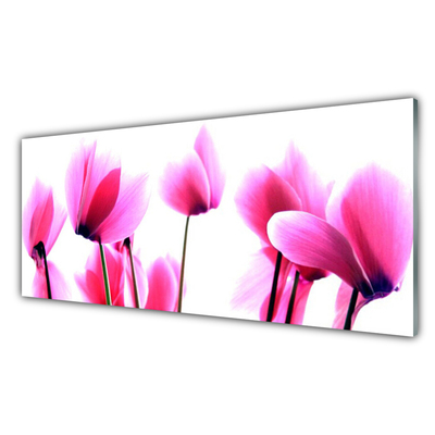 Kitchen Splashback Flowers floral pink