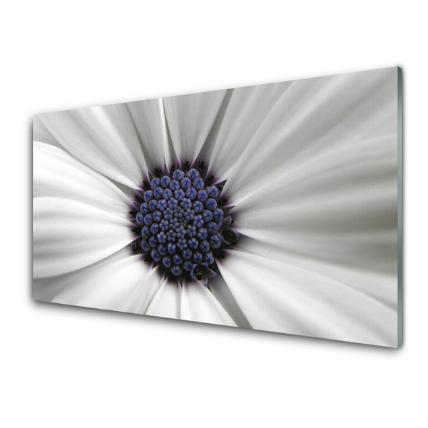 Kitchen Splashback Flower floral white grey purple