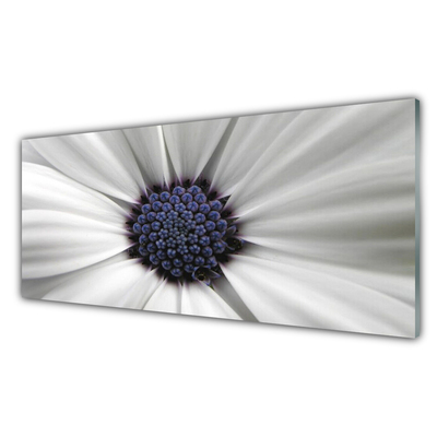 Kitchen Splashback Flower floral white grey purple