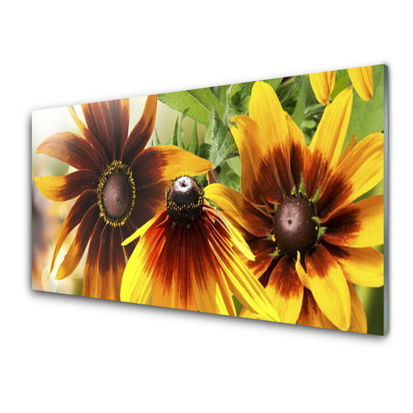 Kitchen Splashback Flowers floral brown yellow