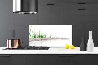 Kitchen Splashback Stones grass art grey green