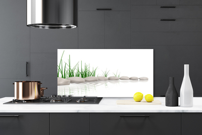 Kitchen Splashback Stones grass art grey green