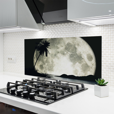 Kitchen Splashback Night moon palm landscape black grey white