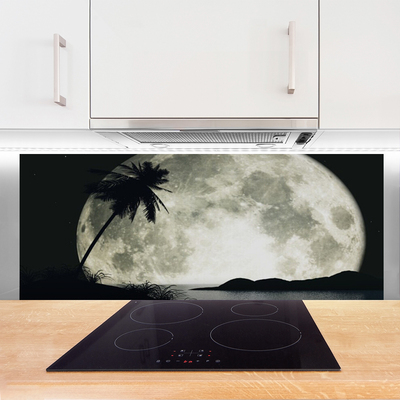 Kitchen Splashback Night moon palm landscape black grey white