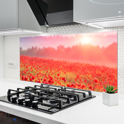 Kitchen Splashback Meadow flowers nature red green