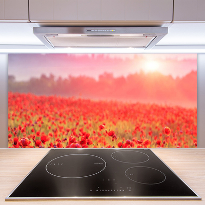 Kitchen Splashback Meadow flowers nature red green