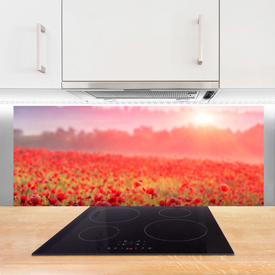 Kitchen Splashback Meadow flowers nature red green