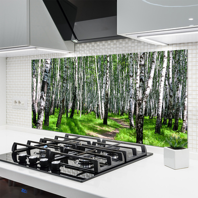 Kitchen Splashback Trees grass nature black white green