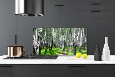 Kitchen Splashback Trees grass nature black white green