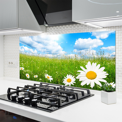 Kitchen Splashback Daisy grass nature white yellow green