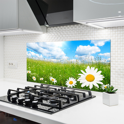 Kitchen Splashback Daisy grass nature white yellow green