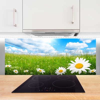 Kitchen Splashback Daisy grass nature white yellow green