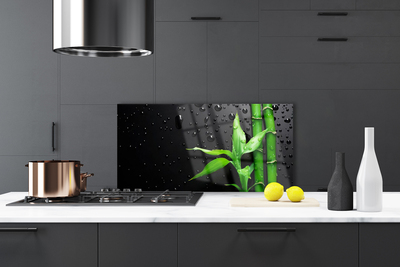 Kitchen Splashback Bamboo leaves floral green black