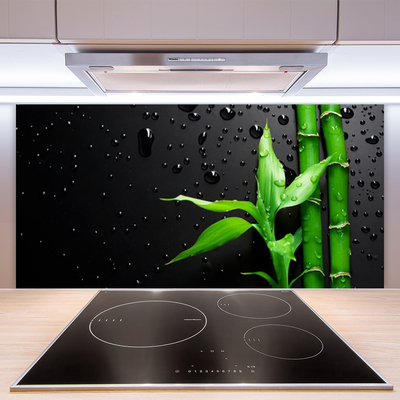 Kitchen Splashback Bamboo leaves floral green black