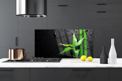 Kitchen Splashback Bamboo leaves floral green black