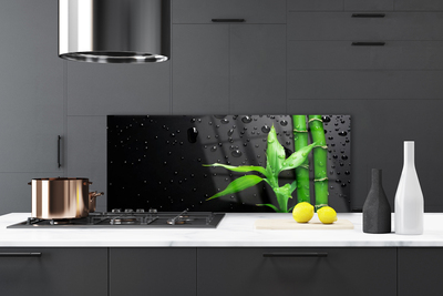 Kitchen Splashback Bamboo leaves floral green black