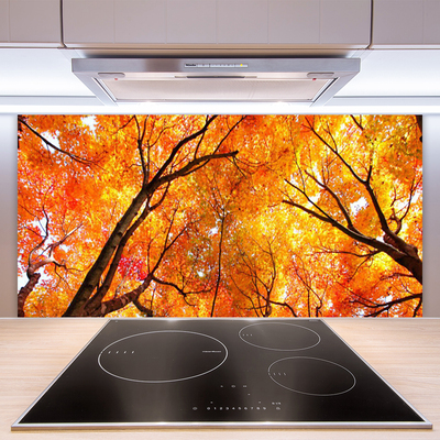 Kitchen Splashback Trees nature yellow orange brown