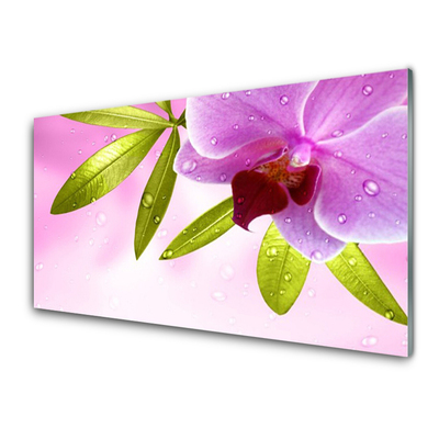 Kitchen Splashback Flower leaves floral pink green