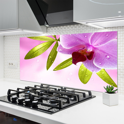 Kitchen Splashback Flower leaves floral pink green