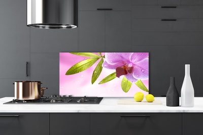 Kitchen Splashback Flower leaves floral pink green