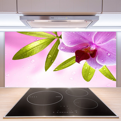 Kitchen Splashback Flower leaves floral pink green