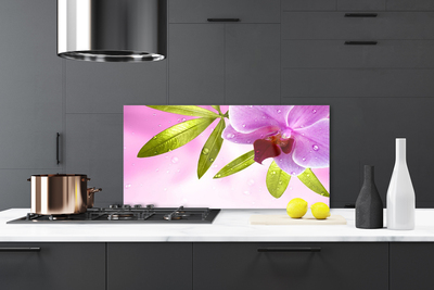 Kitchen Splashback Flower leaves floral pink green