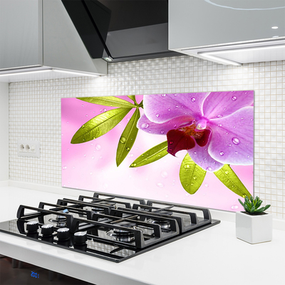 Kitchen Splashback Flower leaves floral pink green