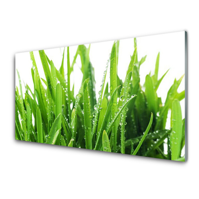 Kitchen Splashback Grass floral green