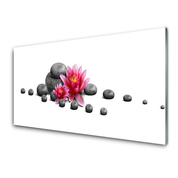 Kitchen Splashback Flower stones art red grey white