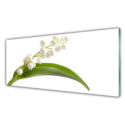 Kitchen Splashback Flowers floral white green