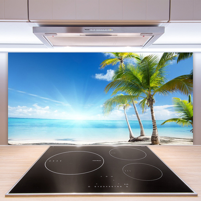 Kitchen Splashback Palm tree sea landscape blue brown green