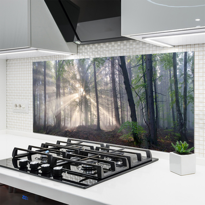 Kitchen Splashback Forest nature brown green