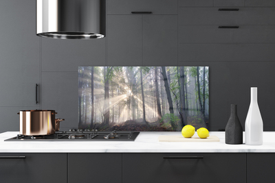 Kitchen Splashback Forest nature brown green