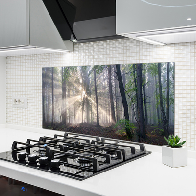 Kitchen Splashback Forest nature brown green