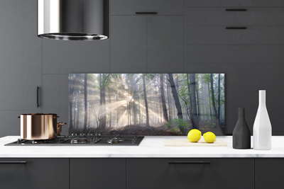 Kitchen Splashback Forest nature brown green