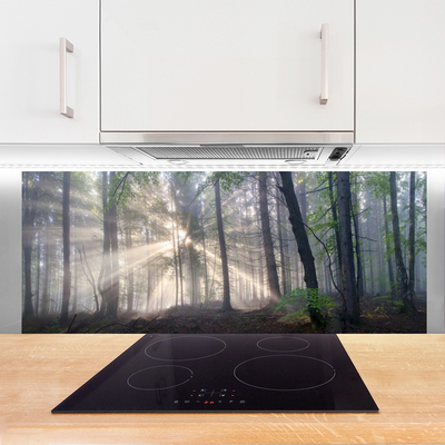 Kitchen Splashback Forest nature brown green