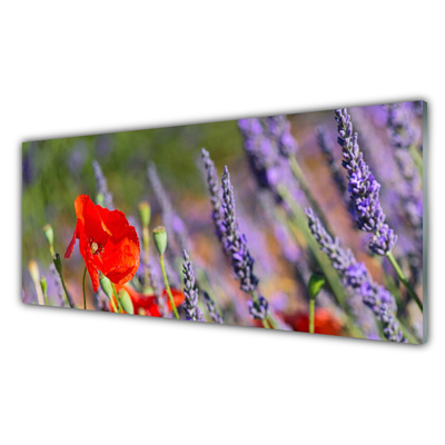 Kitchen Splashback Flowers floral red purple green