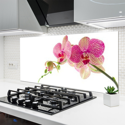 Kitchen Splashback Flowers floral green red