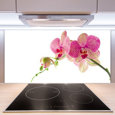 Kitchen Splashback Flowers floral green red