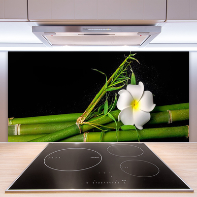 Kitchen Splashback Bamboo flower floral white green