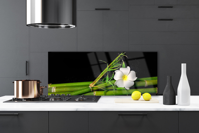 Kitchen Splashback Bamboo flower floral white green