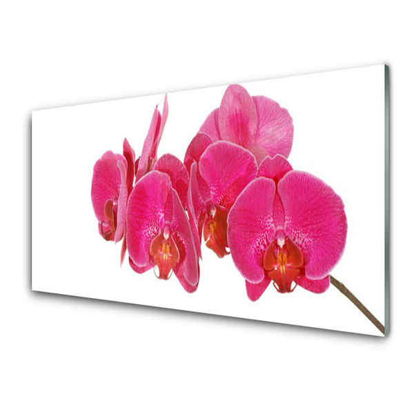 Kitchen Splashback Flowers floral red