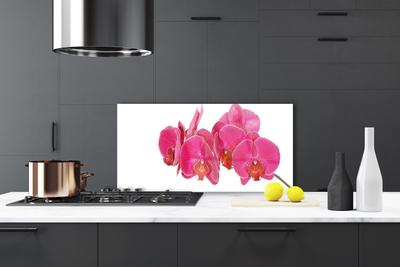 Kitchen Splashback Flowers floral red